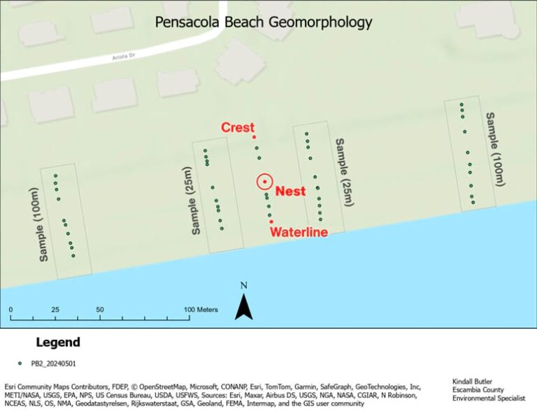 A screenshot of what appears to be a tablet interface titled “Pensacola Beach Geomorphology.” The screenshot displays a dotted line between a crest and the waterline, with a red dot indicating a nest directly in between, all labeled in red.