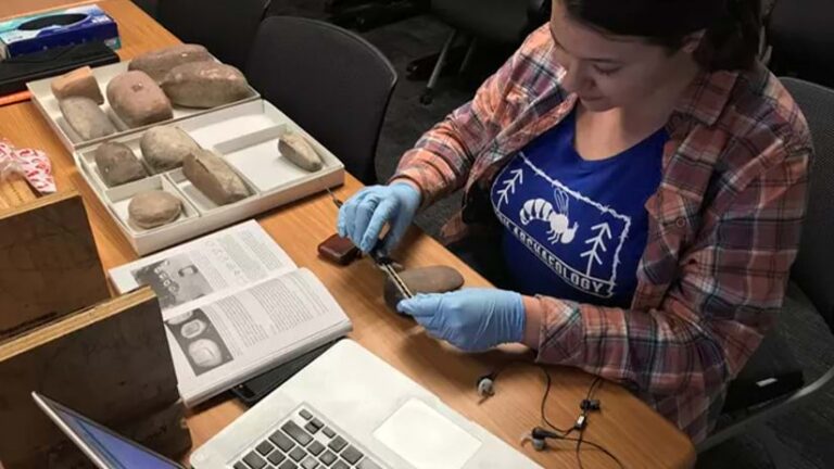 Woman in a flannel shirt with blue latex gloves measuring various fossils at a desk, with a book and a laptop open in front of her.