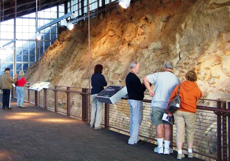 Photo of multiple people behind a barrier, all looking at a wall of rock that contains various fossilized dinosaurs. The wall is lit by overhead lights.