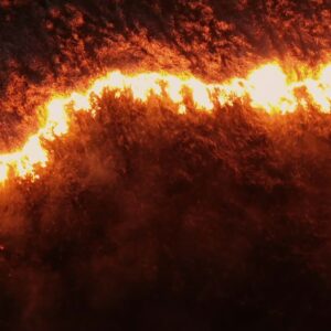 Precision Crisis Management: How AI is Transforming Corporate Security