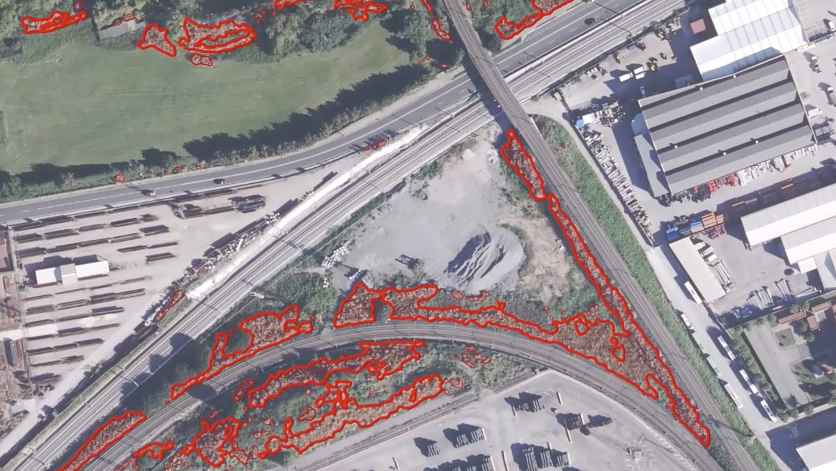 Aerial view of industrial area with red outlines showing AI-detected invasive Pampas grass clusters along railway tracks