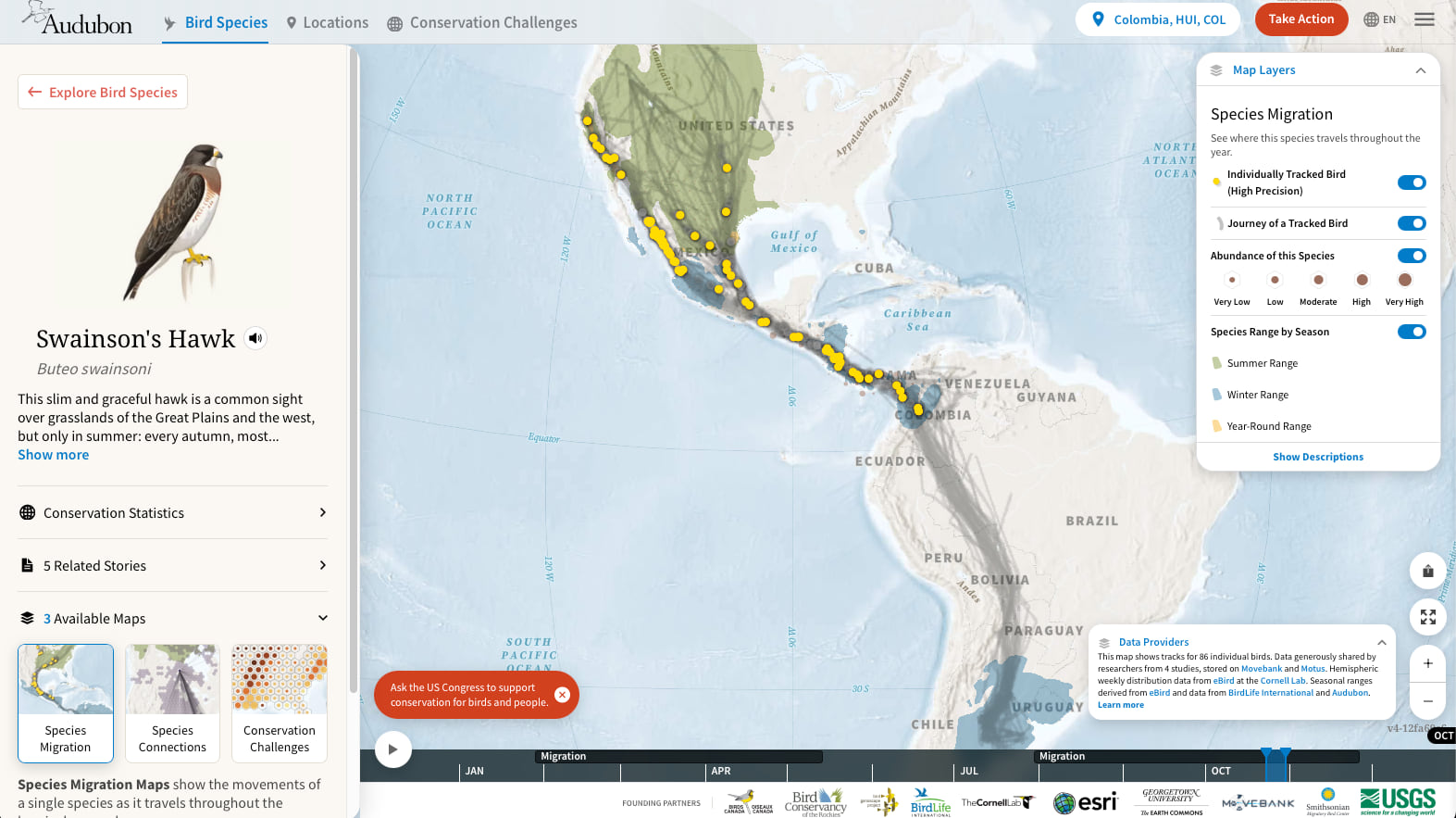 Screenshot of Audubon's Bird Migration Explorer showing yellow tracking dots marking Swainson's hawk migration route from North America down through Colombia.