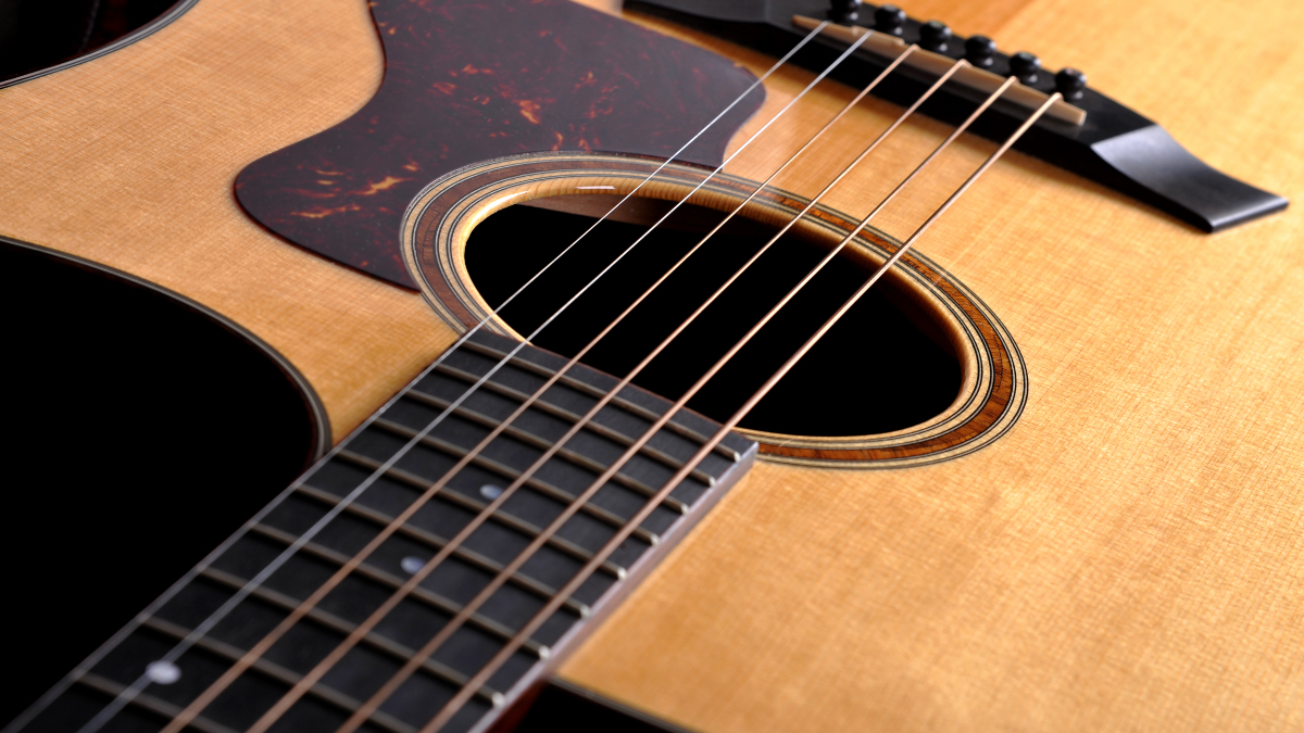Close-up of acoustic guitar showing natural wood grain body, dark ebony fretboard with metal frets, and six steel strings over sound hole.