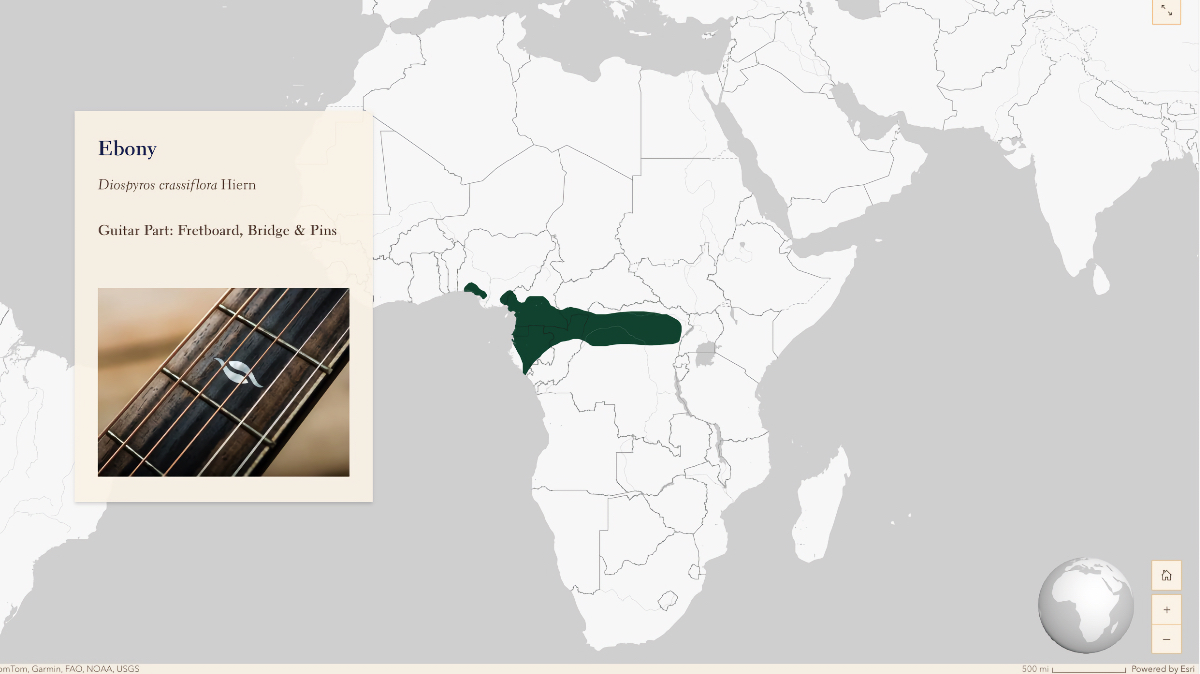 Map of Africa showing ebony tree range across Central Africa's Congo Basin, with inset photo of guitar fretboard made from dark ebony wood.