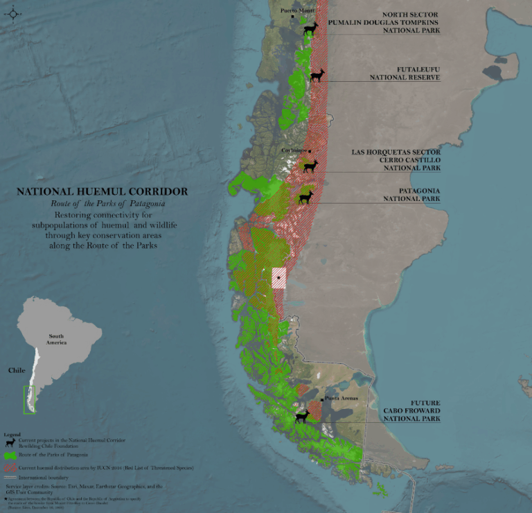 Map of Chile's National Huemul Corridor showing green protected areas and red habitat zones linking parks from Puerto Montt to Cabo Froward.