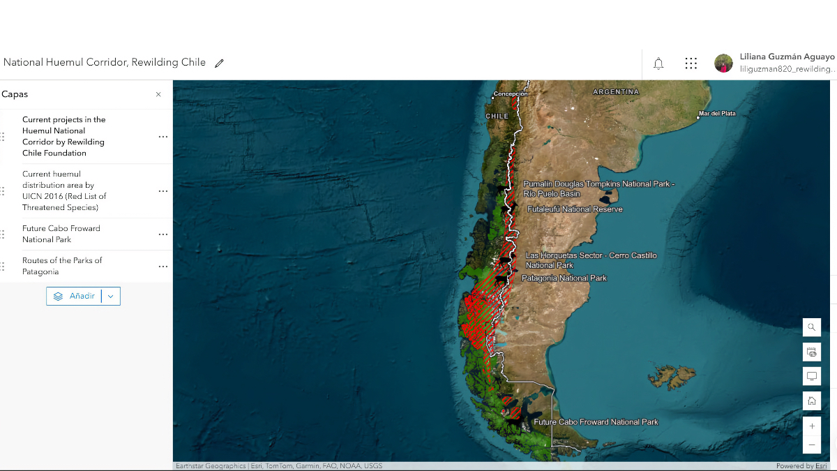 ArcGIS Online map showing National Huemul Corridor with green protected areas and red habitat zones along Chile's coast, layer panel at left.
