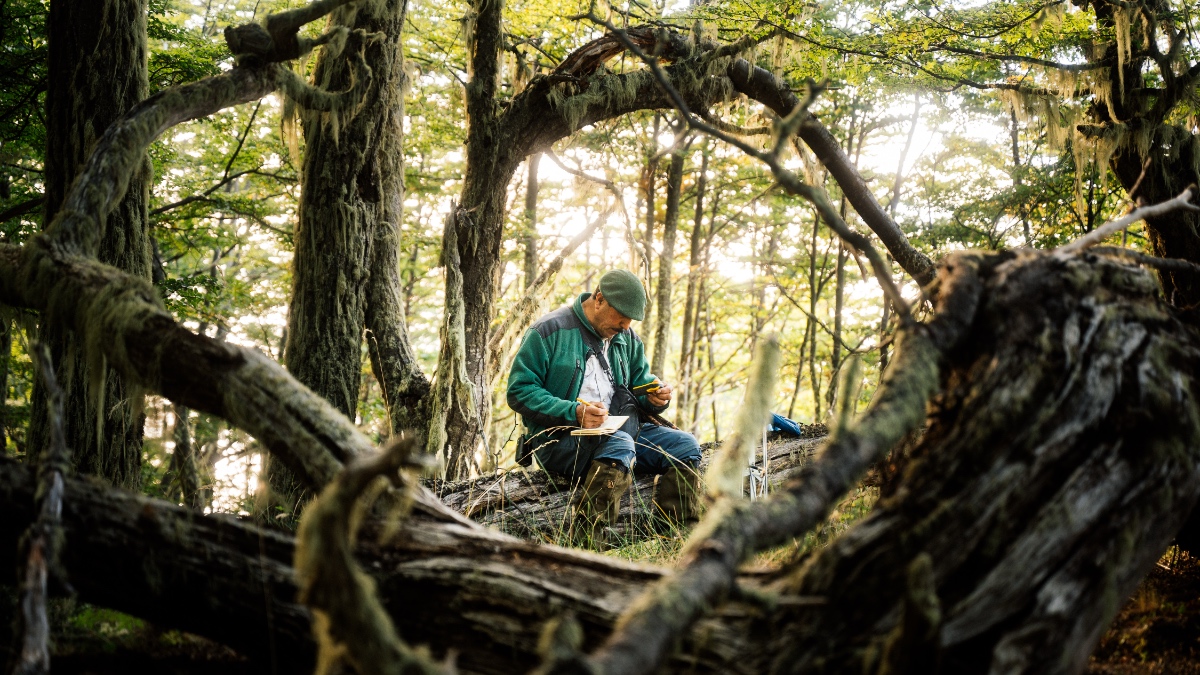 Wildlife ranger in green jacket sits among fallen logs in sunlit forest, writing monitoring data on a tablet