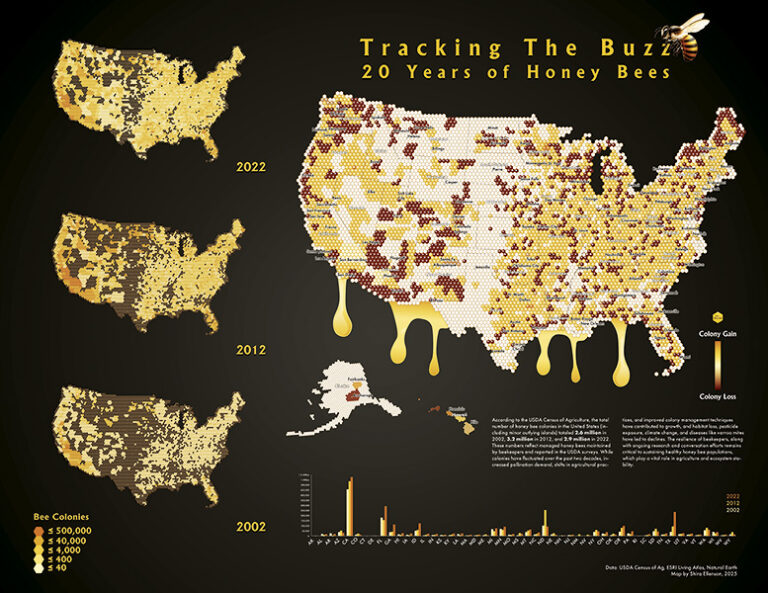 A map called "Tracking The Buzz: 20 Years of Honey Bees" features US maps from 2002, 2012, and 2022 showing honeybee colony density.