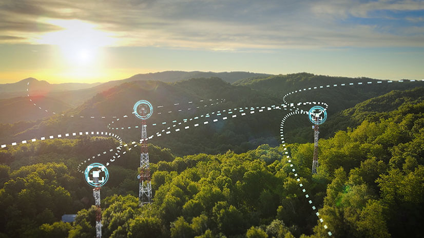 Communications towers in a forest indicate the need for environmental awareness