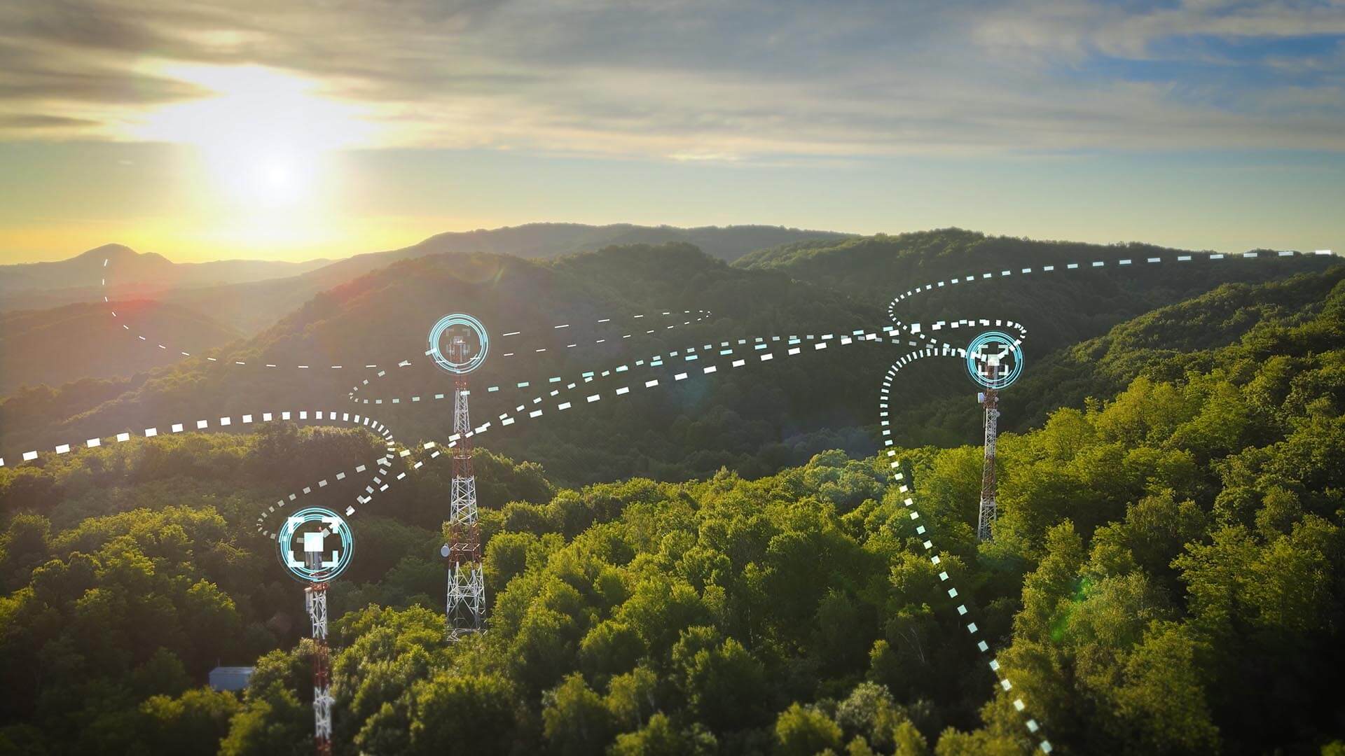 A hilly forest suggests the need for environmental awareness