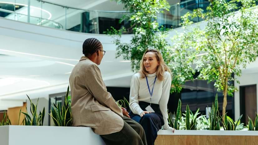 Colleagues in a mentoring session