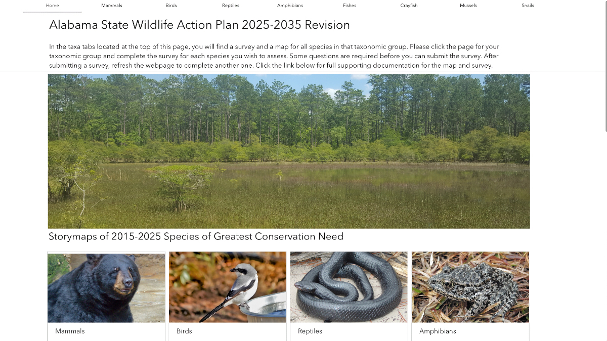 Screenshot of Alabama SWAP survey homepage showing wetland landscape, navigation tabs for animal groups, and thumbnails of species being assessed