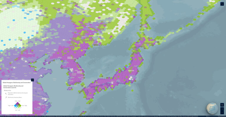 A graphic displaying nine theme options, each with different colors and basemaps, labeled with the name of each option.