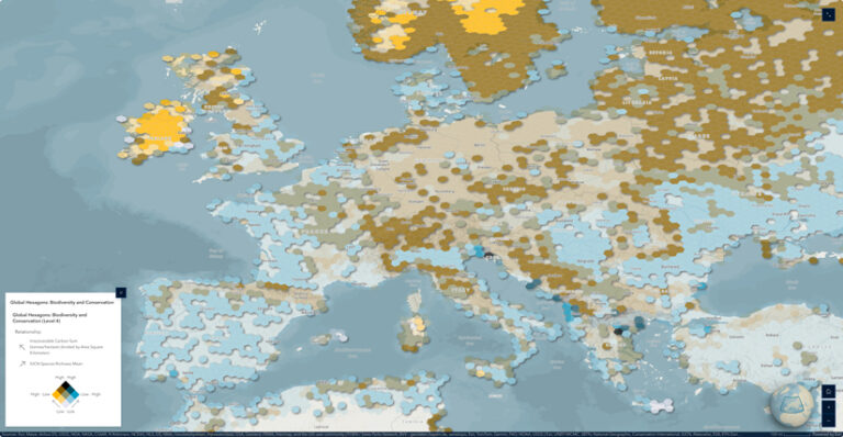 A graphic displaying nine theme options, each with different colors and basemaps, labeled with the name of each option.