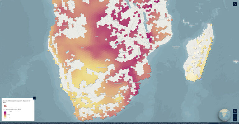 A graphic displaying nine theme options, each with different colors and basemaps, labeled with the name of each option.