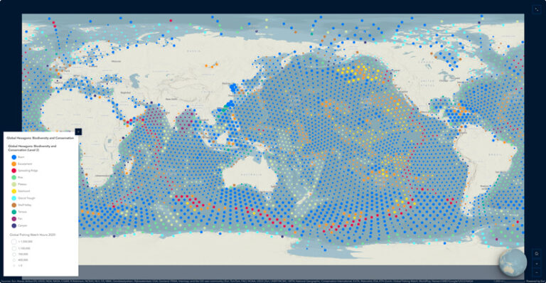 A graphic displaying nine theme options, each with different colors and basemaps, labeled with the name of each option.