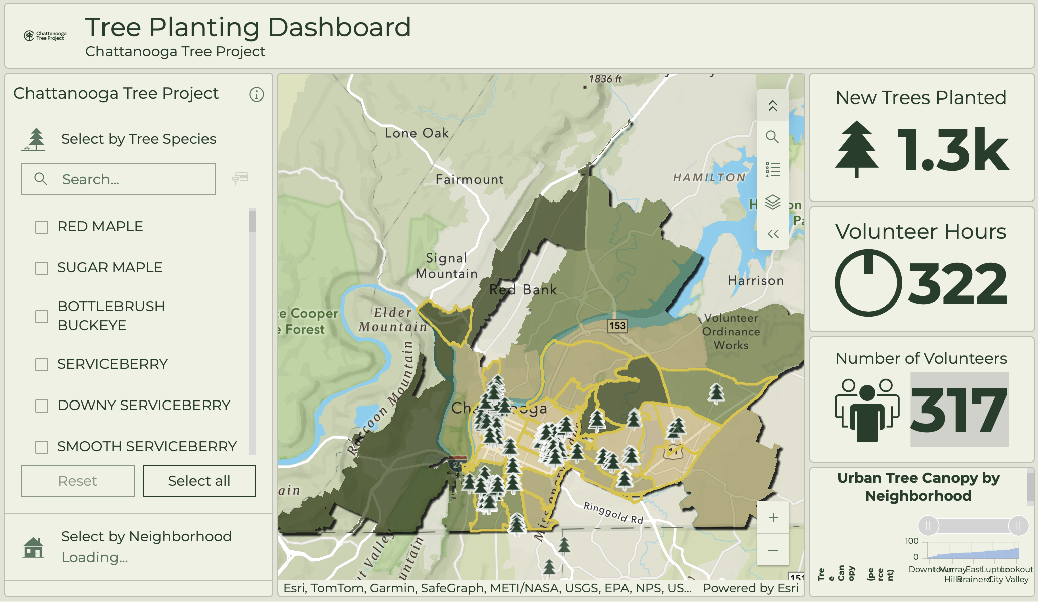Dashboard showing Chattanooga map with tree icons marking plantings in downtown area, alongside metrics: 1.3k trees planted, 322 volunteer hours, 317 volunteers.