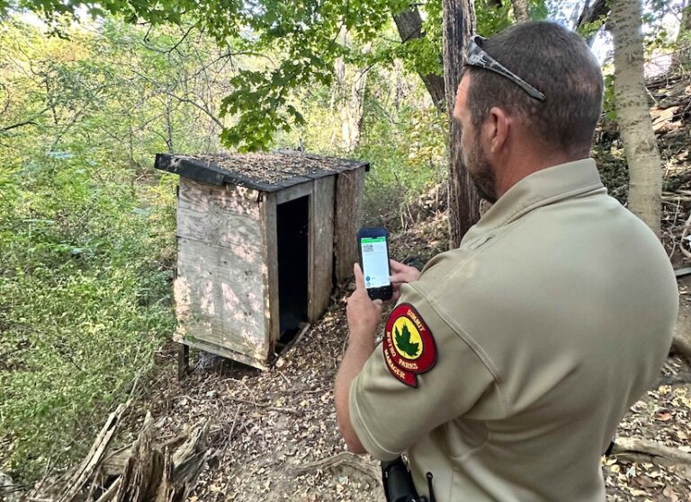 A parks employee taking a photo with a cell phone in a forest