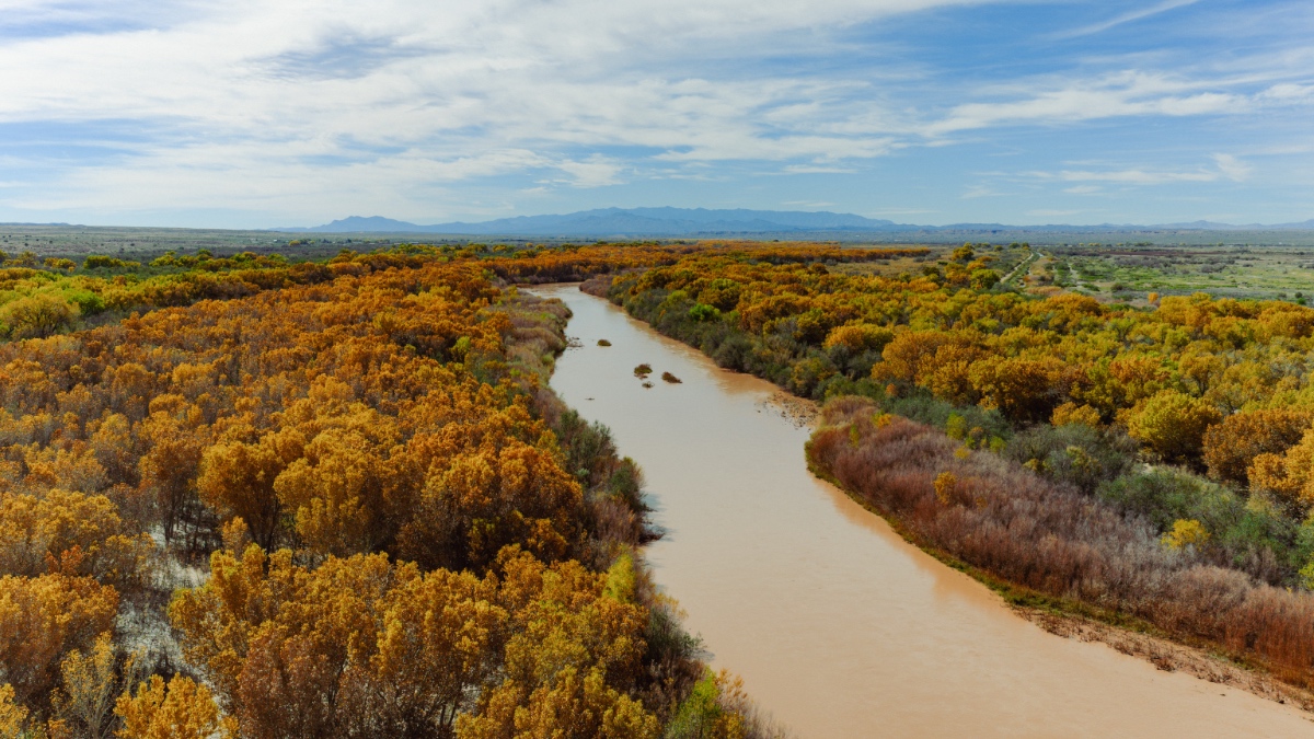 Aerial view of winding river with autumn-colored vegetation along banks flowing through desert landscape with mountains in distant background