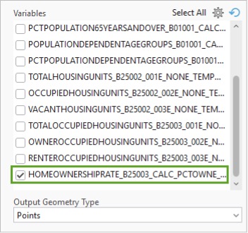 A variable selected in ArcGIS Pro