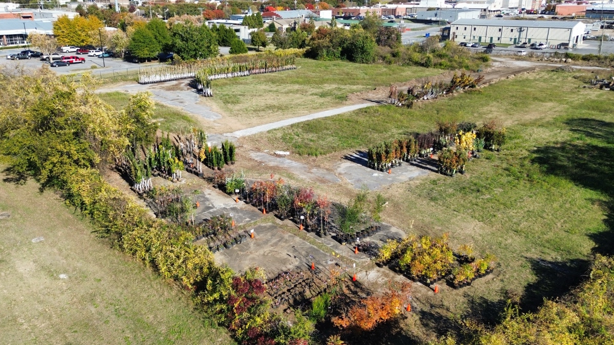 Aerial view of tree nursery showing multiple groups of containerized saplings organized on concrete pads in an open lot, with mature trees at edges.