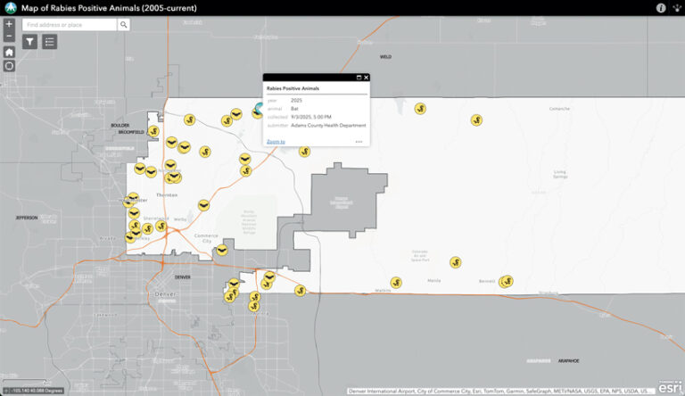 A digital map showing where rabies-positive animals have been identified in Denver, Colorado from 2005 to now. Yellow bat and skunk icons mark confirmed rabies cases. A pop-up displays details for one bat case.