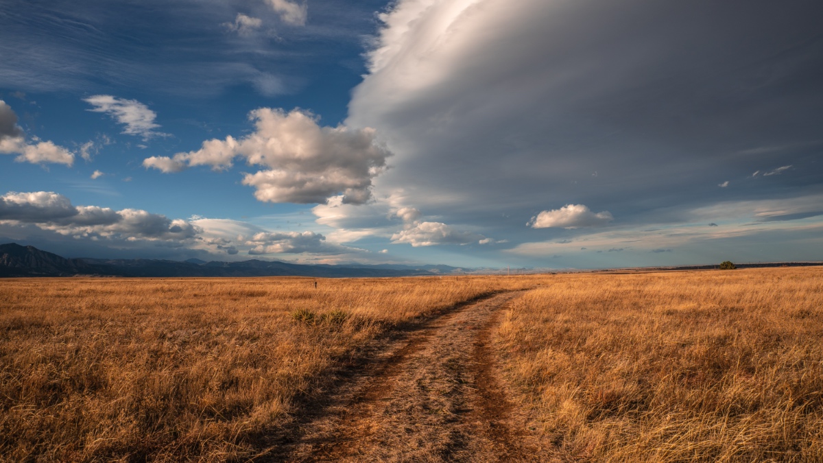 Dirt road cutting through expansive golden grassland under dramatic cloudy skies with mountains visible on the horizon in Boulder County, Colorado