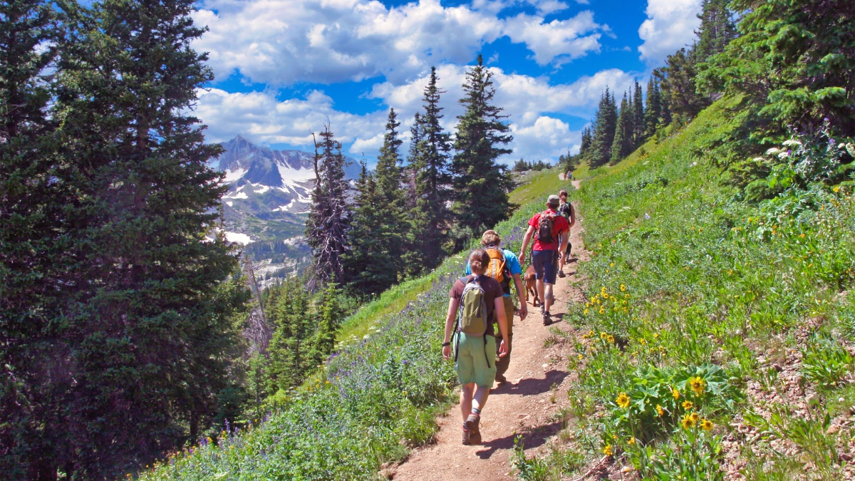 Group of hikers walking along a mountain trail lined with wildflowers, evergreen trees, and views of snow-capped peaks under blue skies