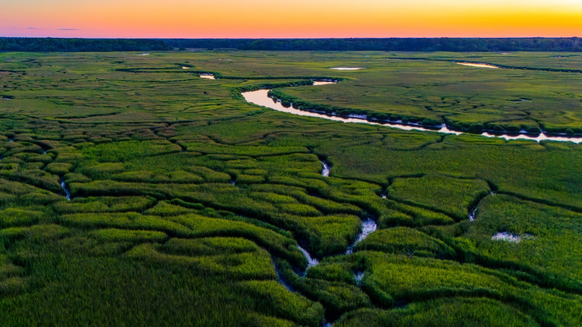 Aerial view of South Carolina coastal marsh at sunset showing meandering tidal channels through green wetlands where river systems meet the ocean.