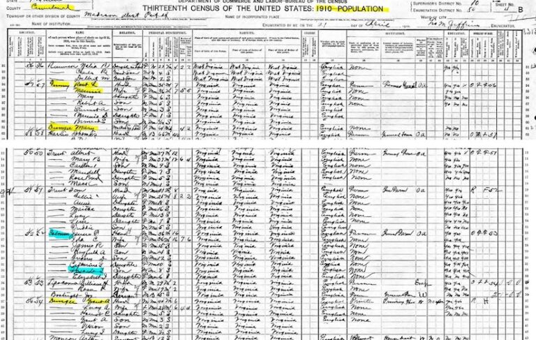 A historical census record with lines of text