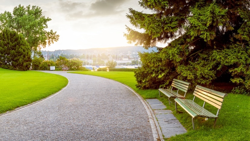 A view of green space with trees, benches, and a bright sky