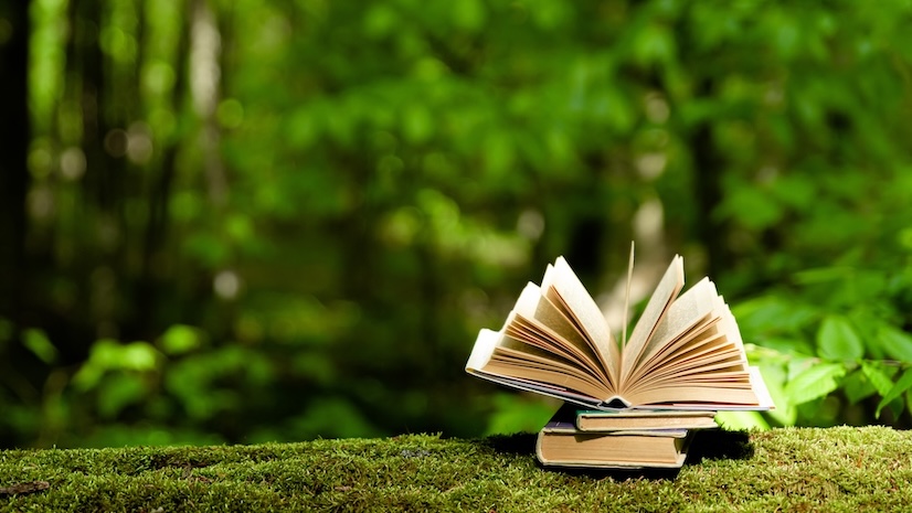 An open book sitting against a green forest background