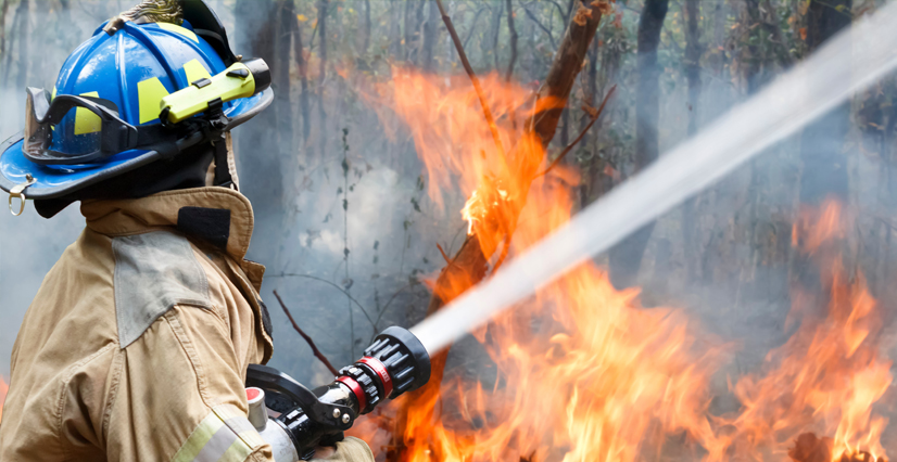 A firefighter in full gear sprays water from a hose onto a wildfire.