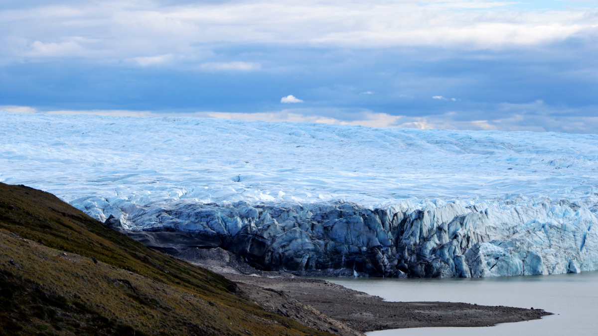 A massive glacier with a jagged blue-white calving front meets a fjord, with dark rocky terrain and sparse green vegetation visible in the foreground.