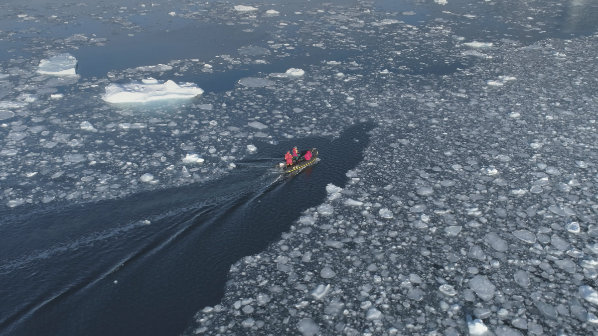 An aerial view of researchers in red survival suits navigating a small inflatable boat through dark Arctic waters densely packed with floating ice fragments and small icebergs.