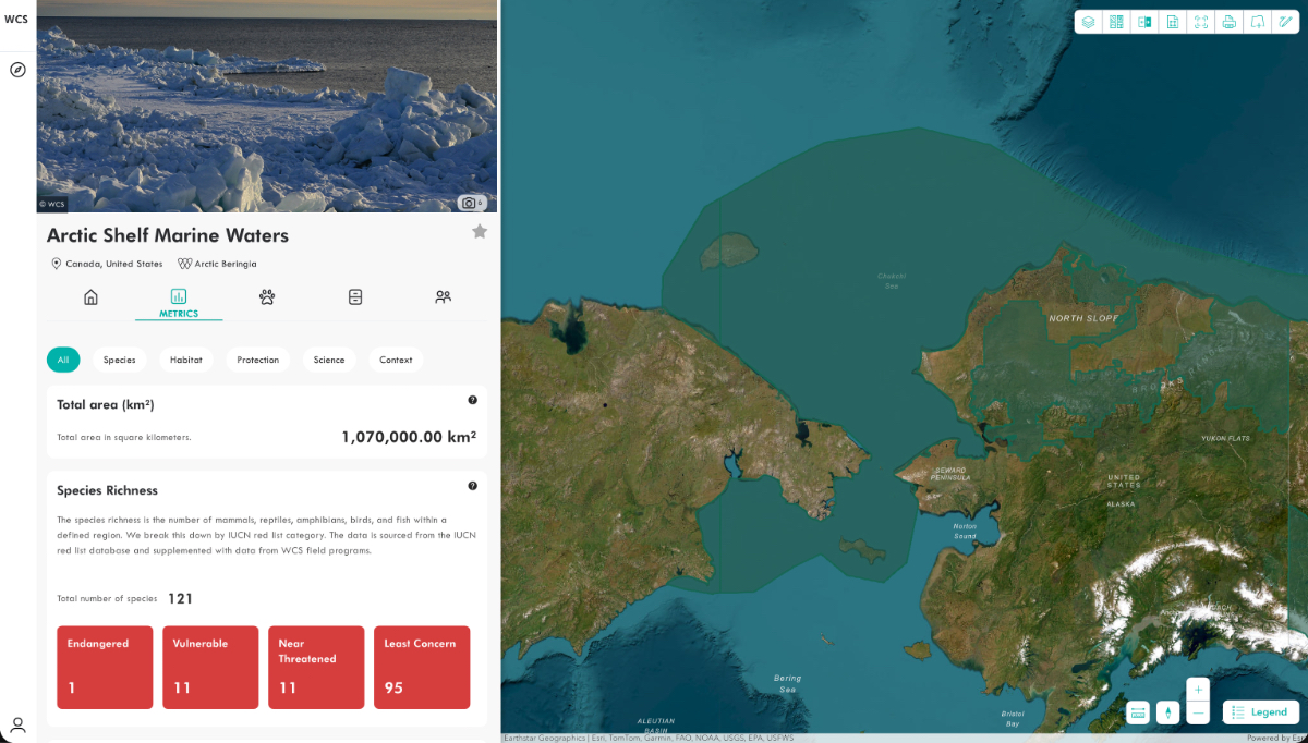 WCS metrics dashboard for Arctic Shelf Marine Waters showing map of Arctic region, total area data, and species conservation status counts.