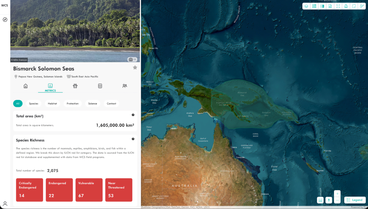Dashboard showing Bismarck Solomon Seas metrics with coastal photo, map of Papua New Guinea region, and species conservation status breakdown.