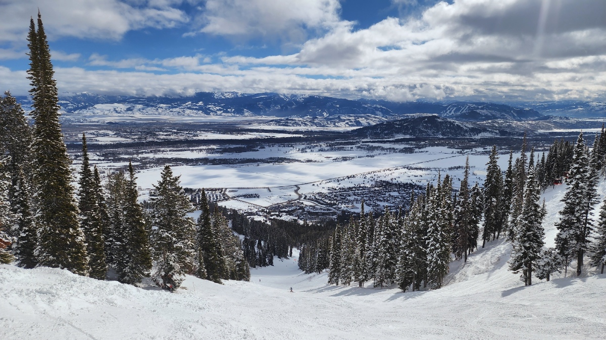 Panoramic view from ski slope looking down at snow-covered Jackson Hole valley with mountains in distance, evergreen trees framing foreground.