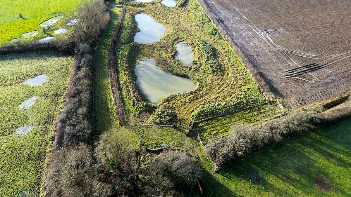 Aerial view of a constructed wetland with ponds and managed grassland bordered by hedgerows and arable fields on Wessex Water land in southwest England.