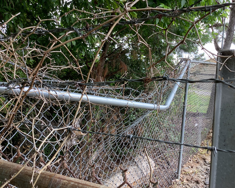 Photo of a chain-link fence with a bar that has been bent severely in the middle. The fence is surrounded by vegetation and topped with barbed wire.