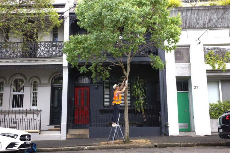 Photo of a woman in a hi-vis vest on a stepladder beside a tree, installing a white device roughly halfway up the trunk. In the background, a black and white building with iron railings.