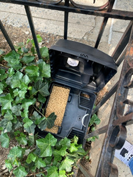 Photo of a black garbage bin beside a metal fence and a plant. The bin contains a compartment filled with contraceptive product, which looks like a tub full of popcorn kernels.