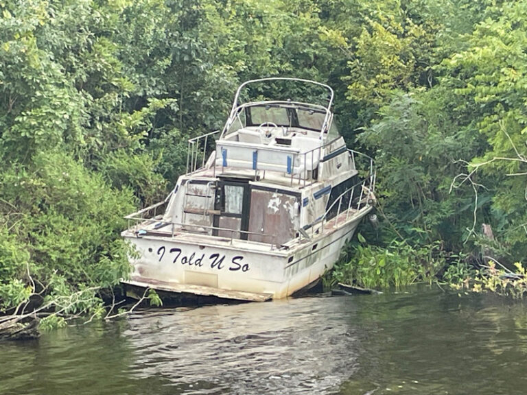 Photo of a dirty white boat partially run aground on an overgrown coastline. Lettering on the boat reads “I Told U So”.
