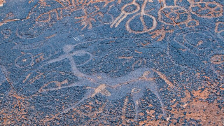 Close-up of San rock engravings at Twyfelfontein, Namibia, showing circles, branching lines, and animal figures carved into dark stone.