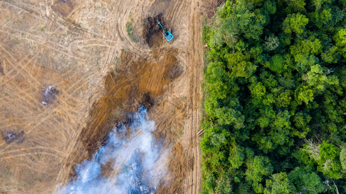 Aerial view of active deforestation showing an excavator clearing forest, with smoke rising from burning debris at the forest edge.