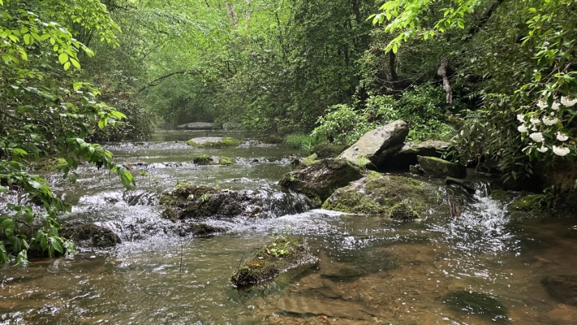 A beautiful flowing stream near rocks and green trees