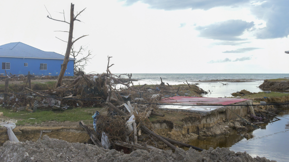 Eroded Jamaican coastline showing uprooted trees, flood damage, and debris near the ocean after Hurricane Melissa.