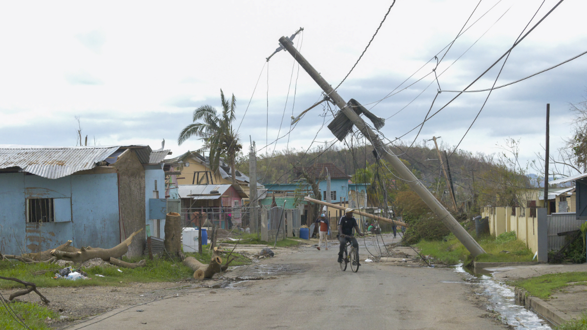 Cyclist navigating a storm-damaged residential street under downed utility poles and fallen palm trees in Jamaica.