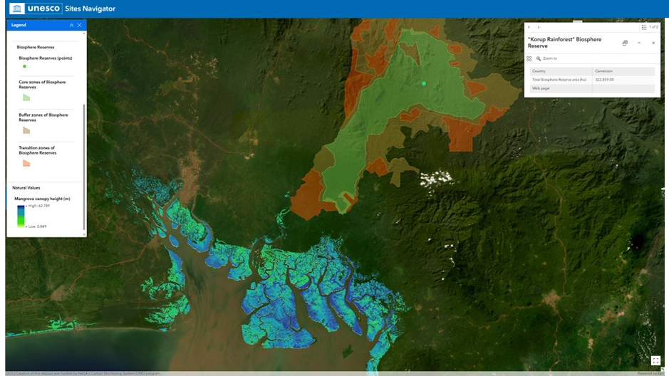 Advanced view of Korup Rainforest Biosphere Reserve, Cameroon, with mangrove canopy height in a blue-to-green gradient.