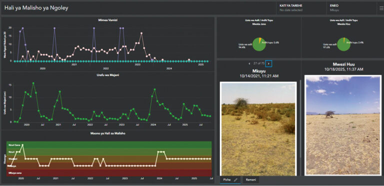A dashboard showing pasture conditions in Ngoley, with line graphs on the left tracking invasive plants and grass height, and two photos included.